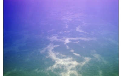 30457962